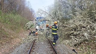 Silný vítr na Moravě vyvracel stromy, na Karlovarsku převrátil plachetnici